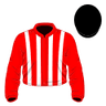 Saffie Osborne silk