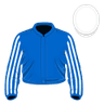 R L Moore silk