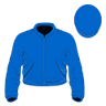 K T O'Neill silk