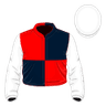 Freddie Mitchell silk