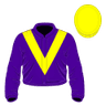 Danny Mullins silk