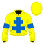 Sawgrass silk