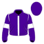 Theory Of Tides silk
