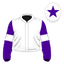 Iris Dancer silk