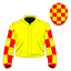 Washington Heir silk