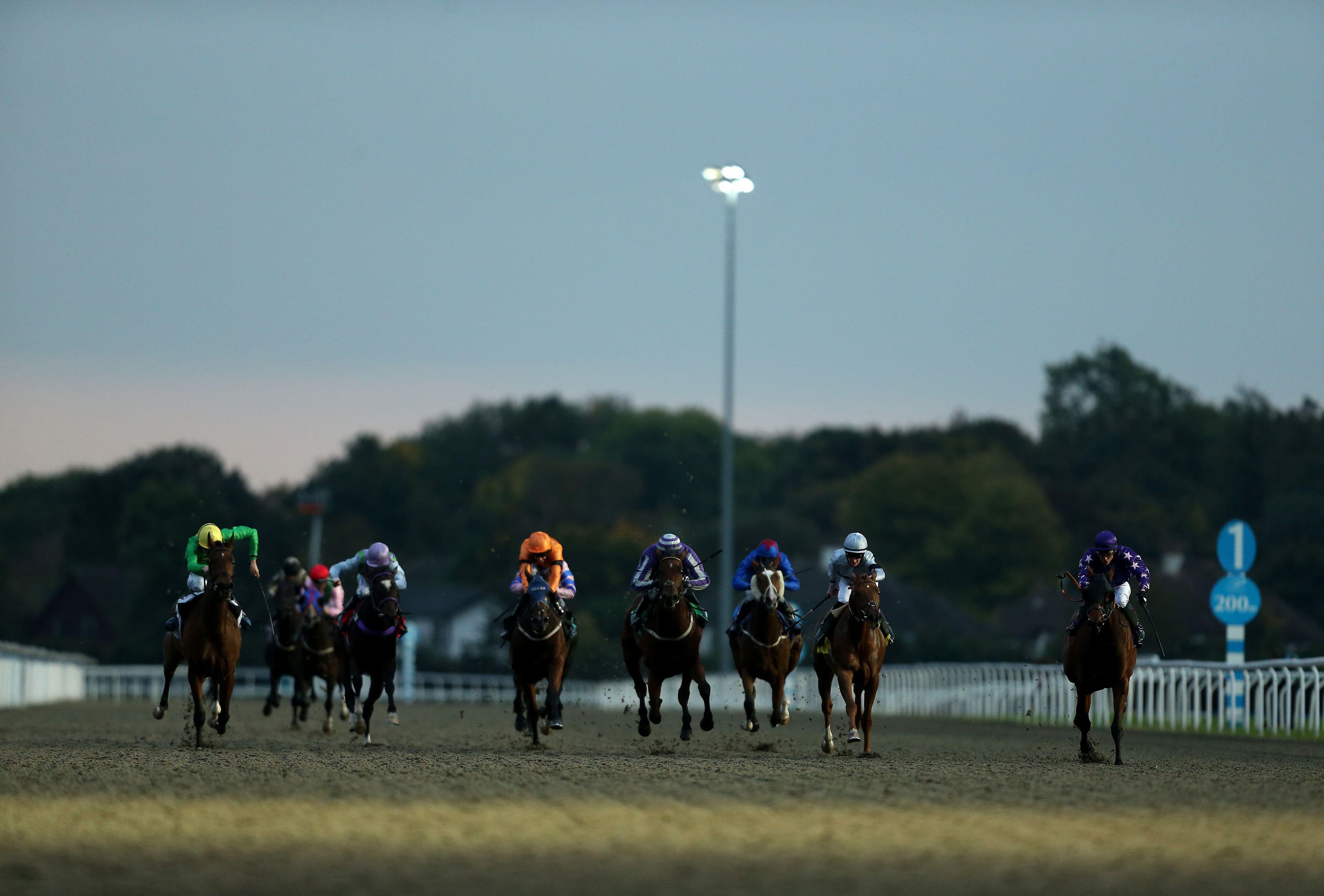 Kempton Horse Racing Tips - 6th August 2025 image