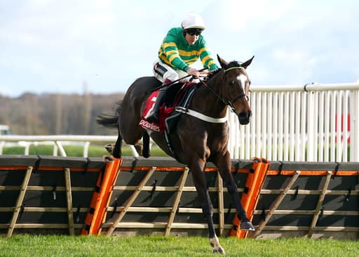 Cheltenham Festival 2025 News: Final Demand Declared For Turners Novices' Hurdle image