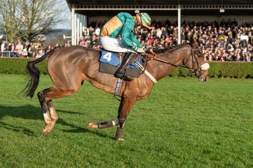 Boxing Day Horse Racing Guide 2024 image