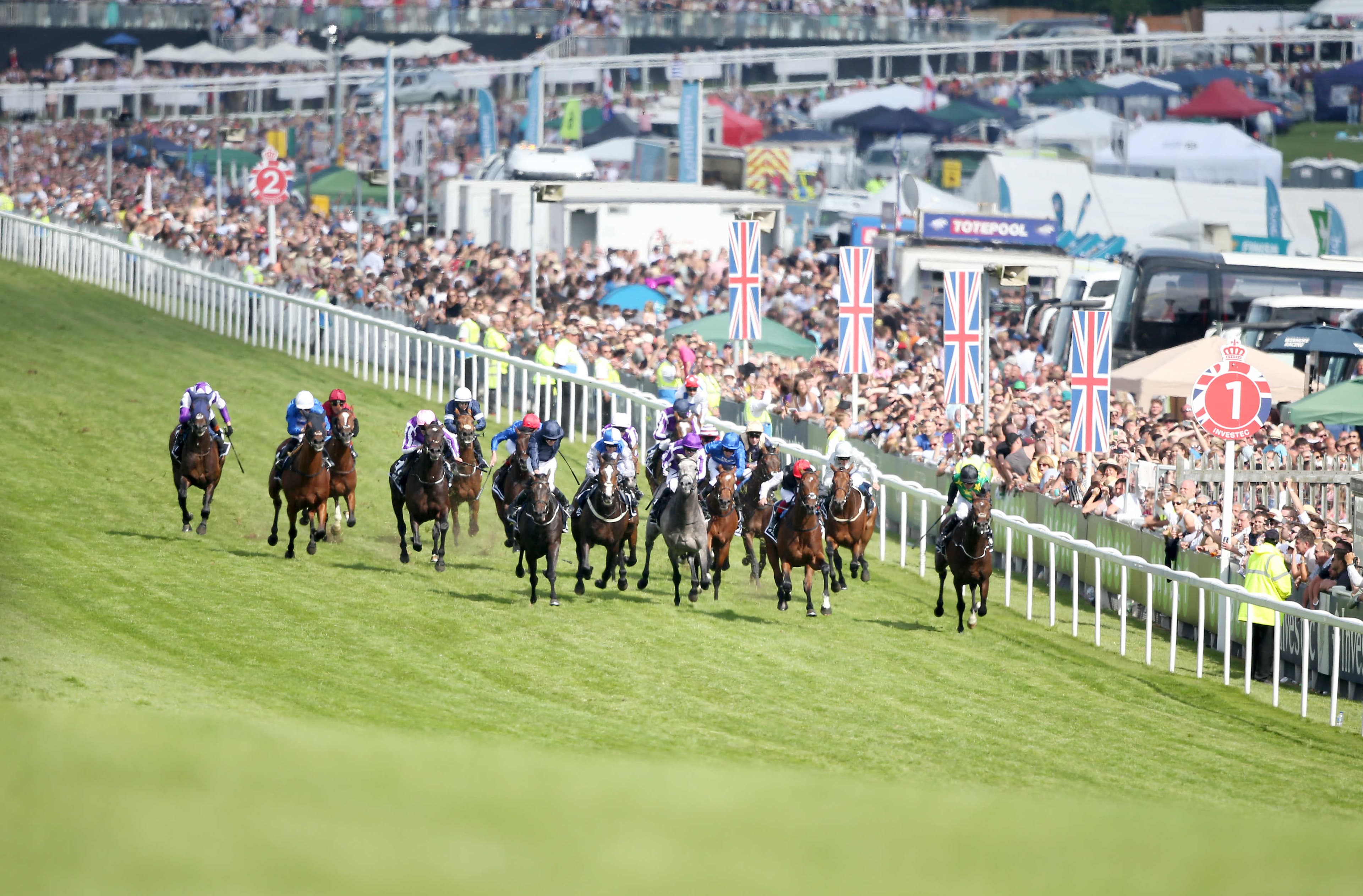 Epsom Horse Racing Tips for 15 August 2025 image