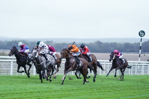 ITV Racing Tips For Today - Thursday 31st July 2025 image