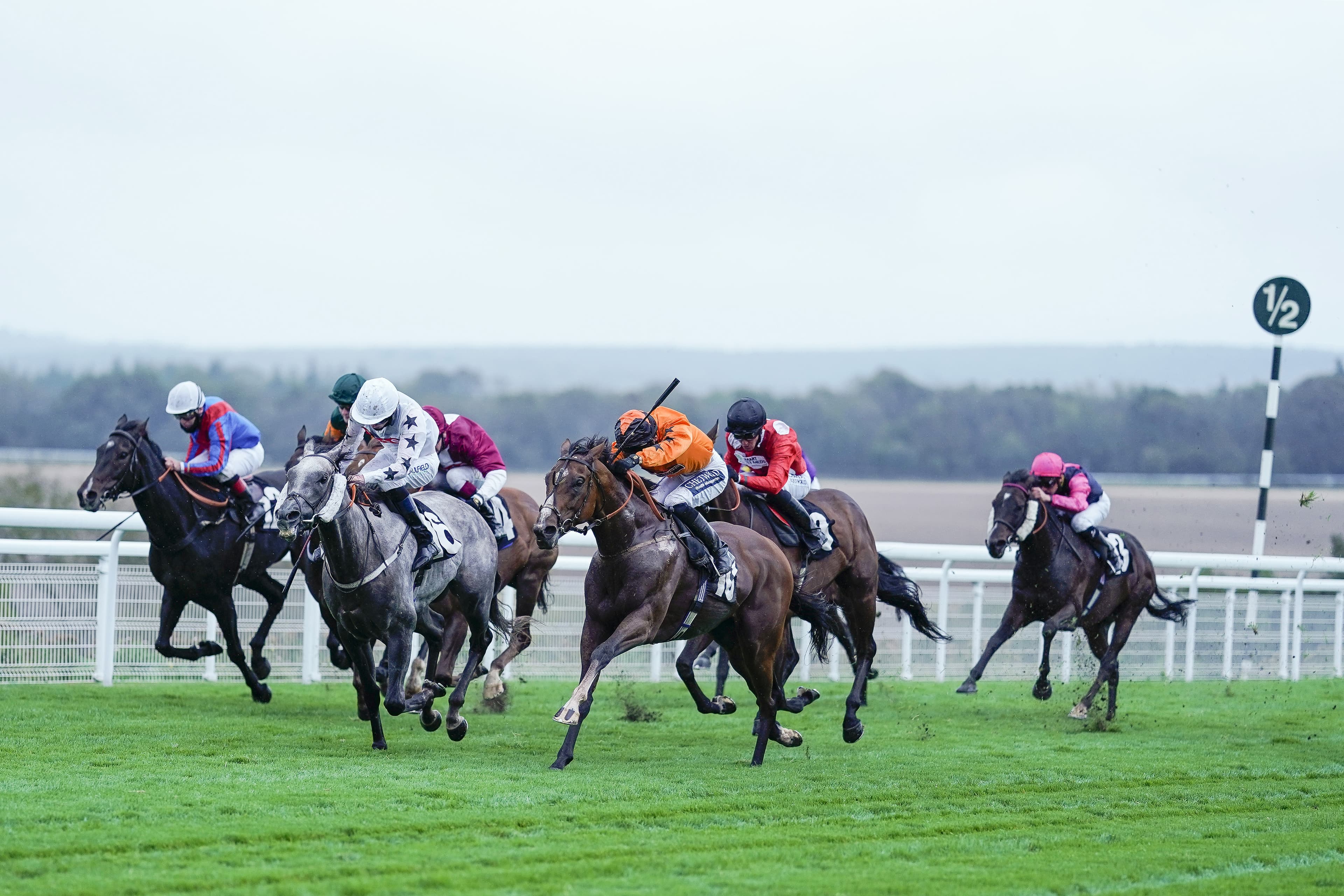 ITV Racing Tips For Today - Thursday 31st July 2025 image