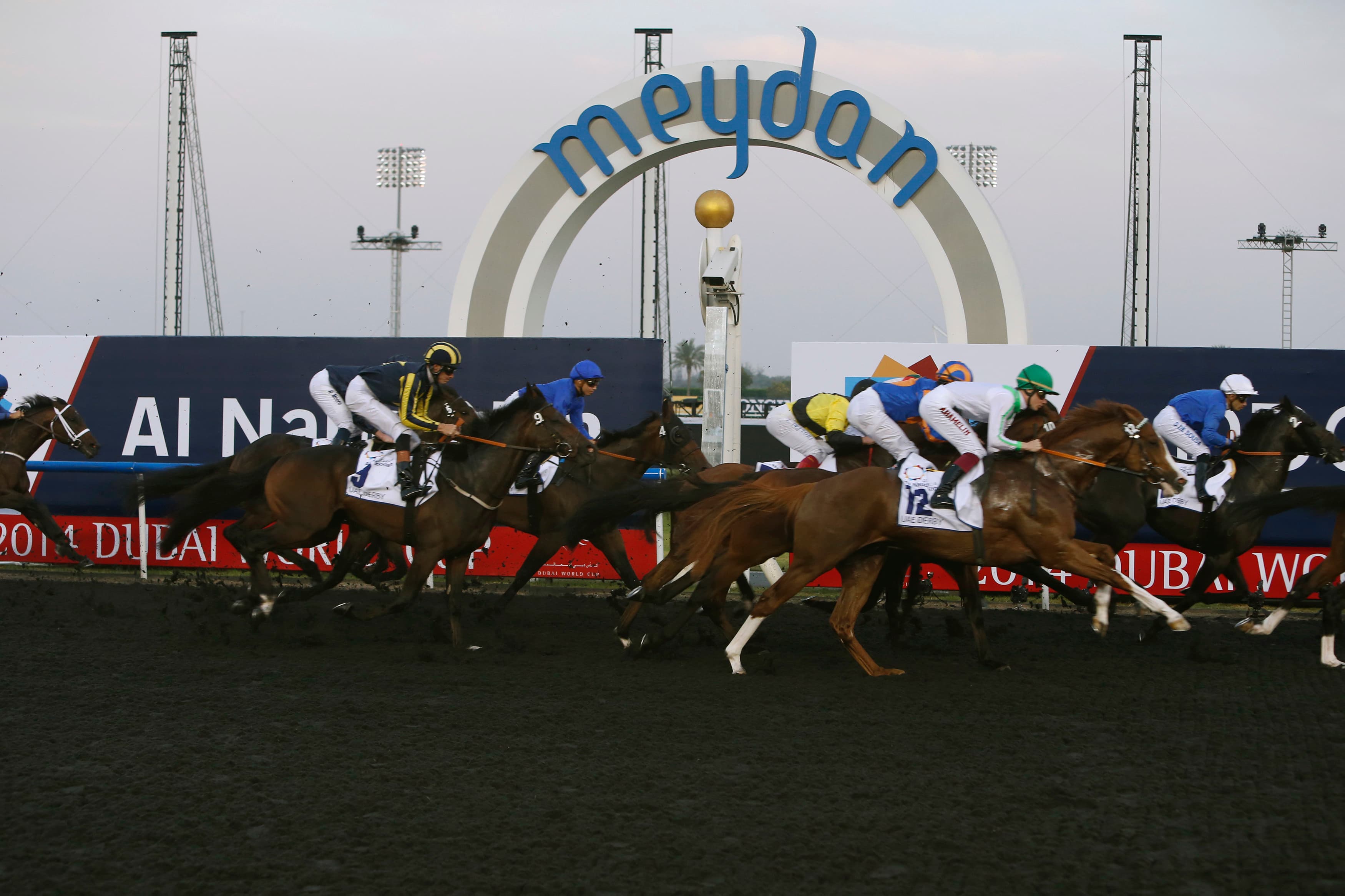 Meydan Saturday Preview