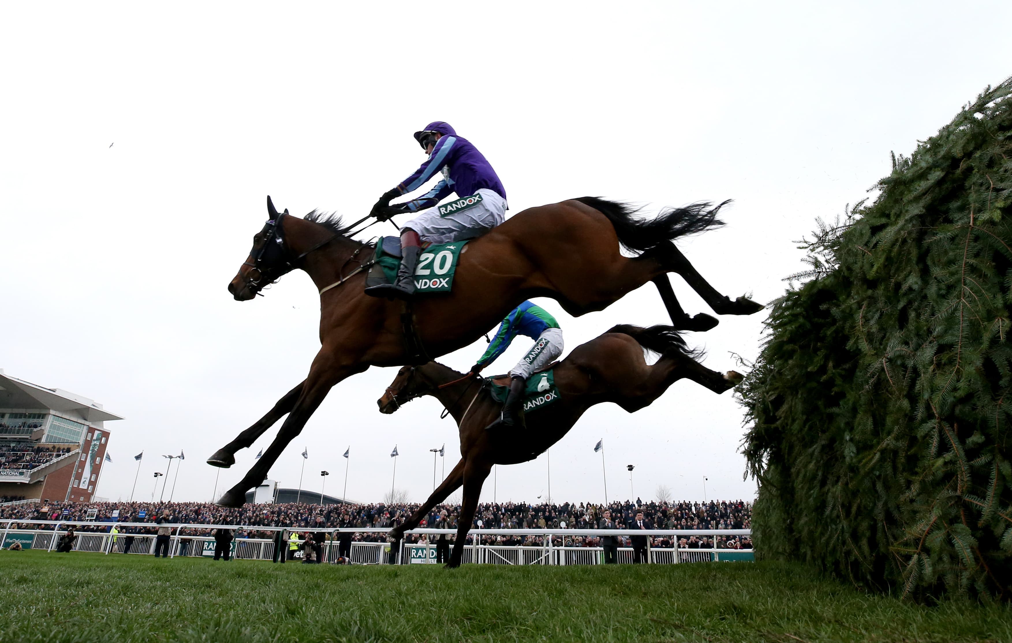 Top Six Picks For Sunday