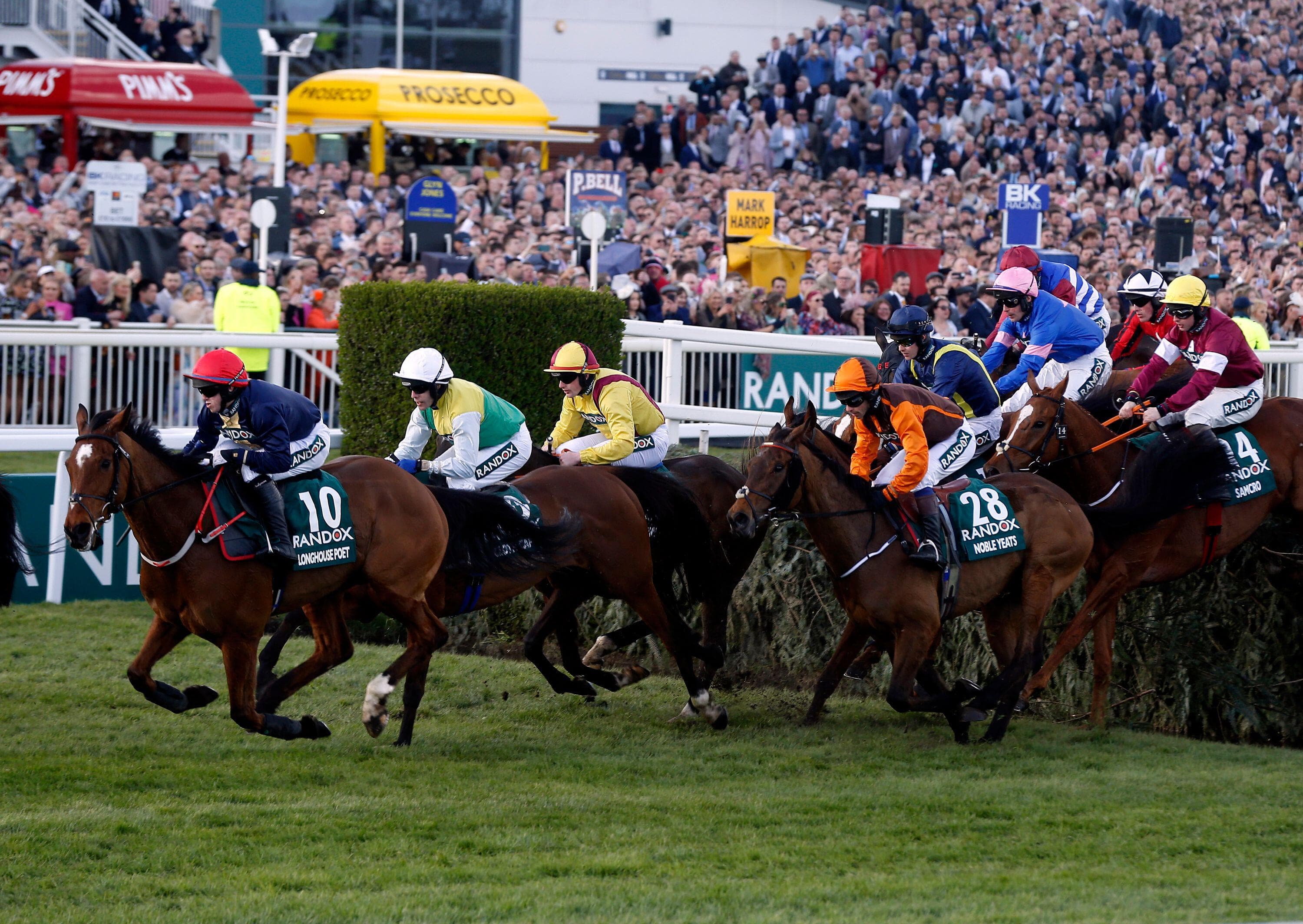 Grand National 2025: Scholfield Hopeful of Career-Best Effort From Monbeg Genius image