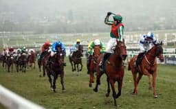 Marsh Novices Chase Guide image