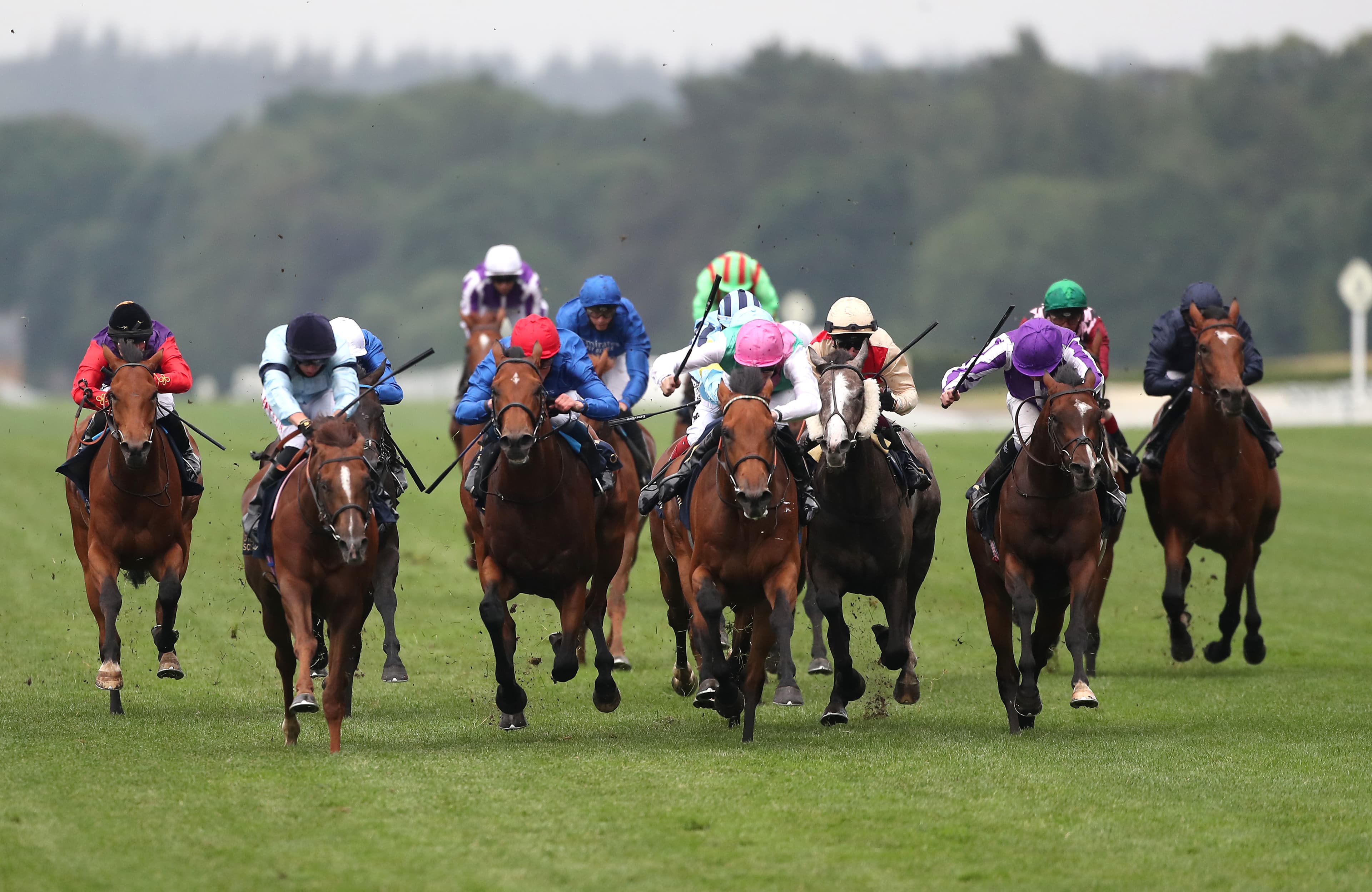 ITV Racing Tips For Today - Saturday 9th August 2025 image