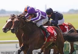 Curragh Saturday Preview image
