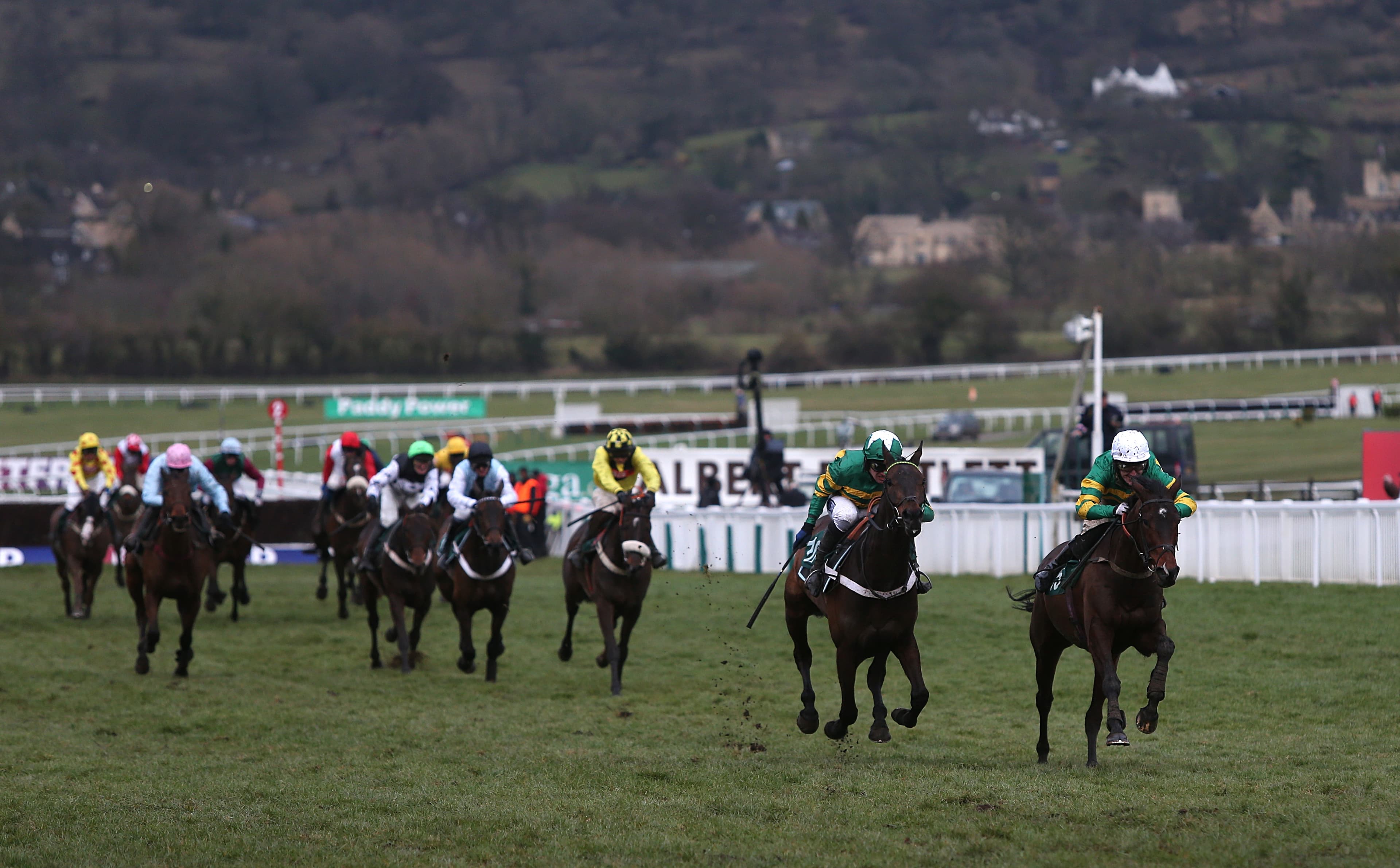 Who to follow at Cheltenham on Saturday