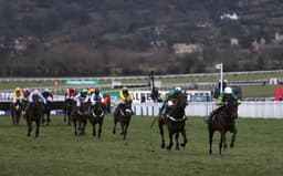 Who to follow at Cheltenham on Saturday image