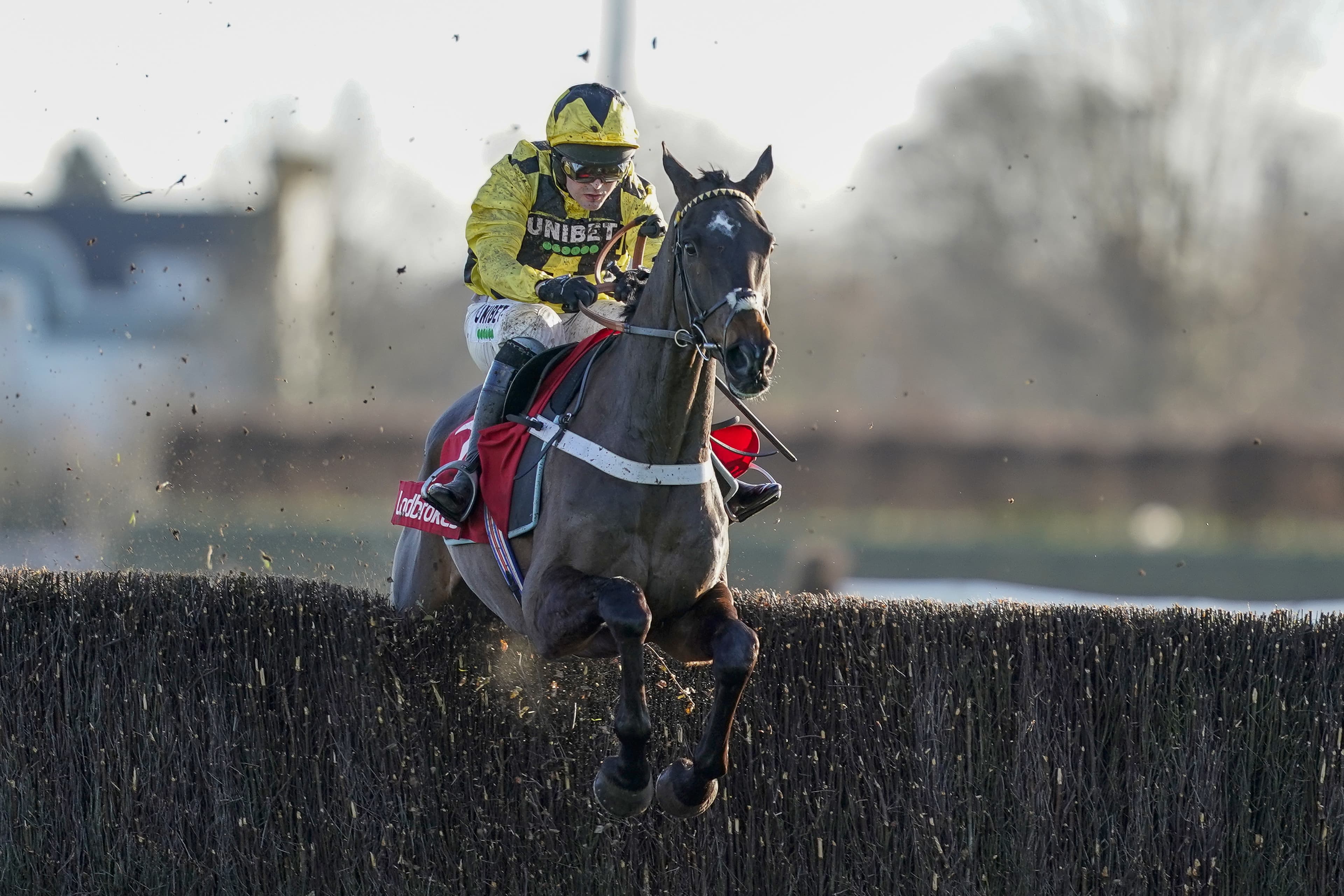 Grade Two Lightning Novices' Chase Guide
