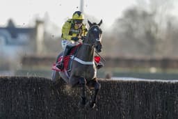 Grade Two Lightning Novices' Chase Guide image