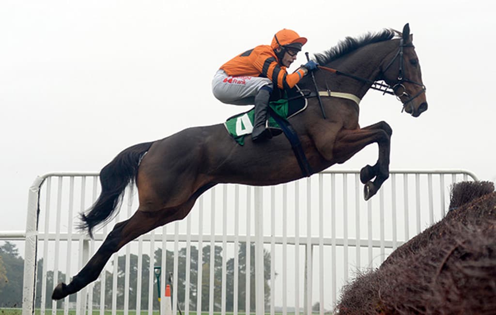 More of That Race Horse