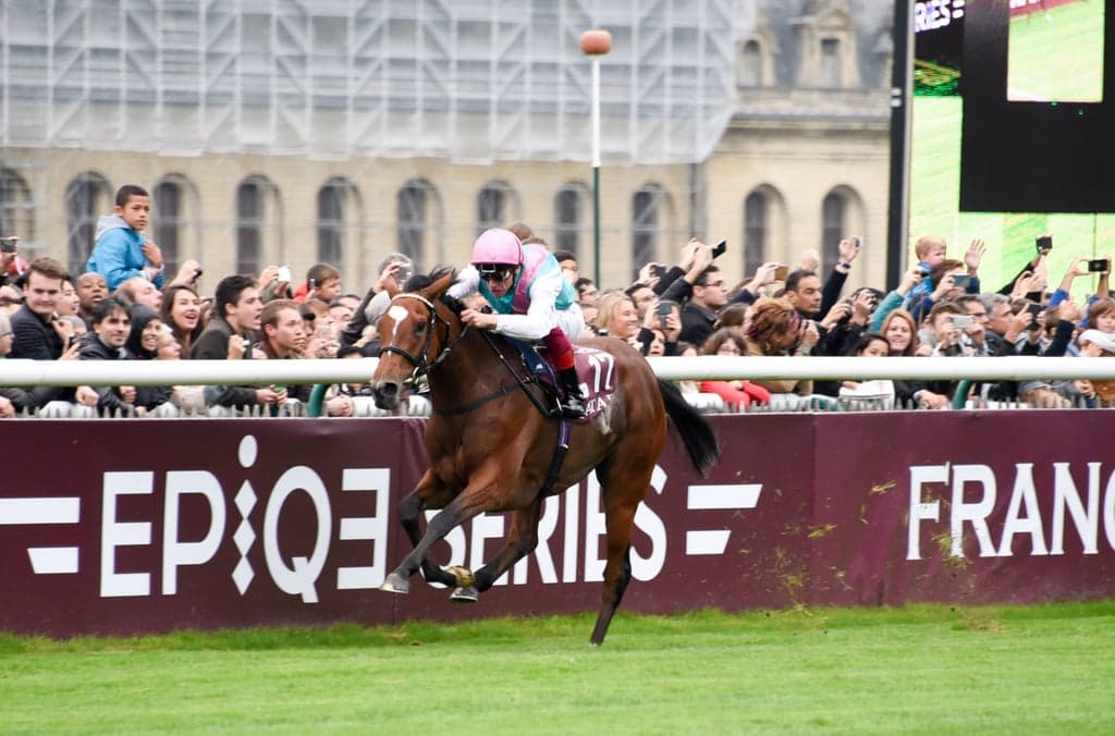 Enable Arc