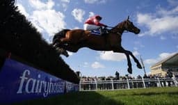 Grand National 2025: Sheehan to Take the Ride on Hewick image