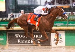 Breeders Cup Day One Preview image