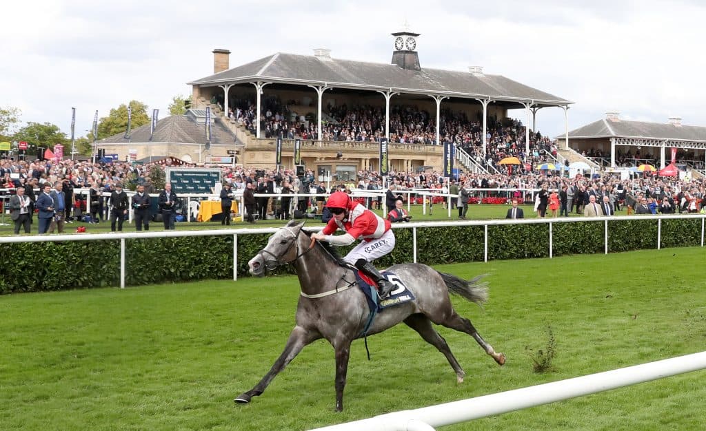 ITV Racing Tips For Today - Saturday 13th September 2025  image