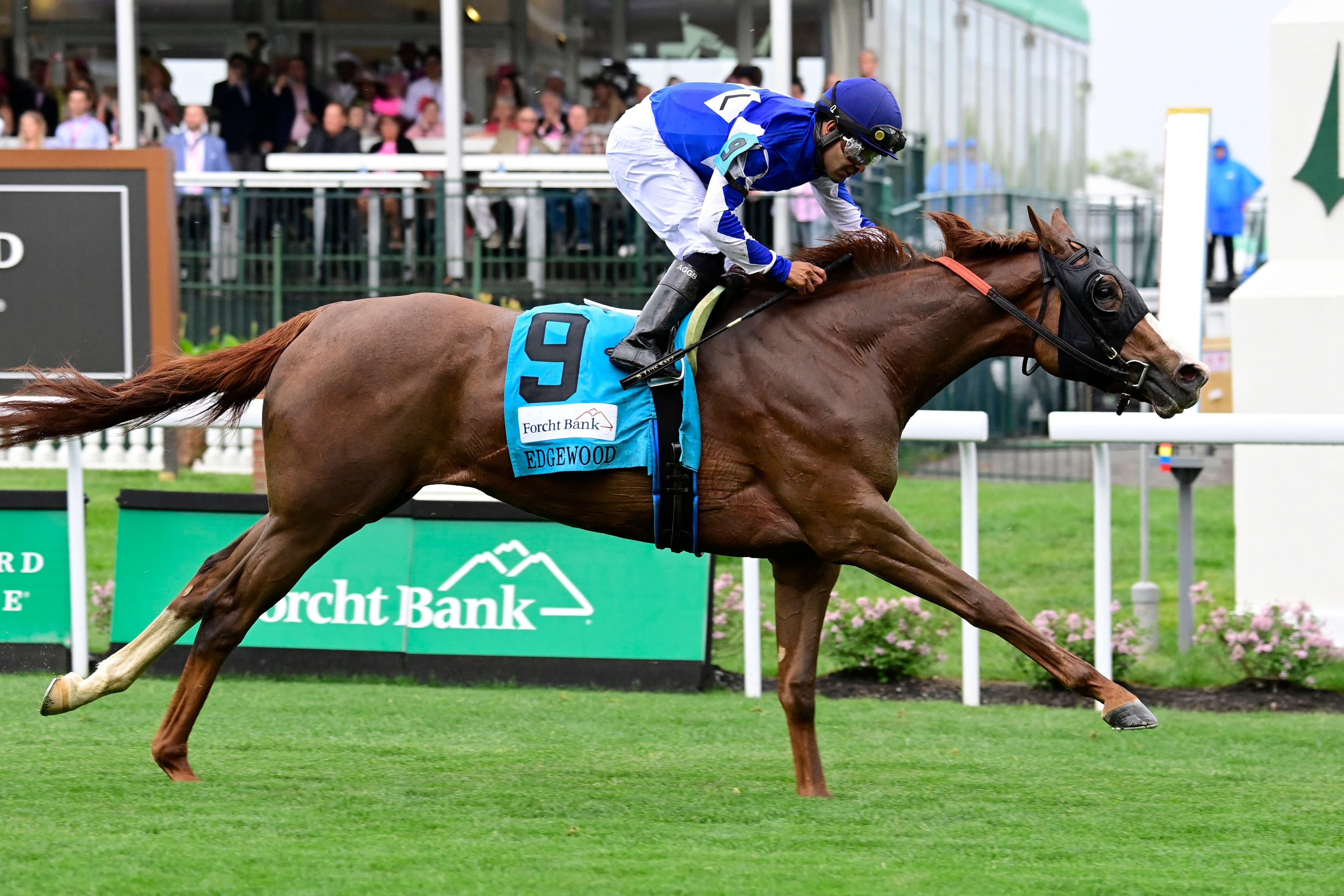 New Year’s Day Horse Racing Guide 2024