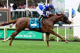 New Year’s Day Horse Racing Guide 2024 image
