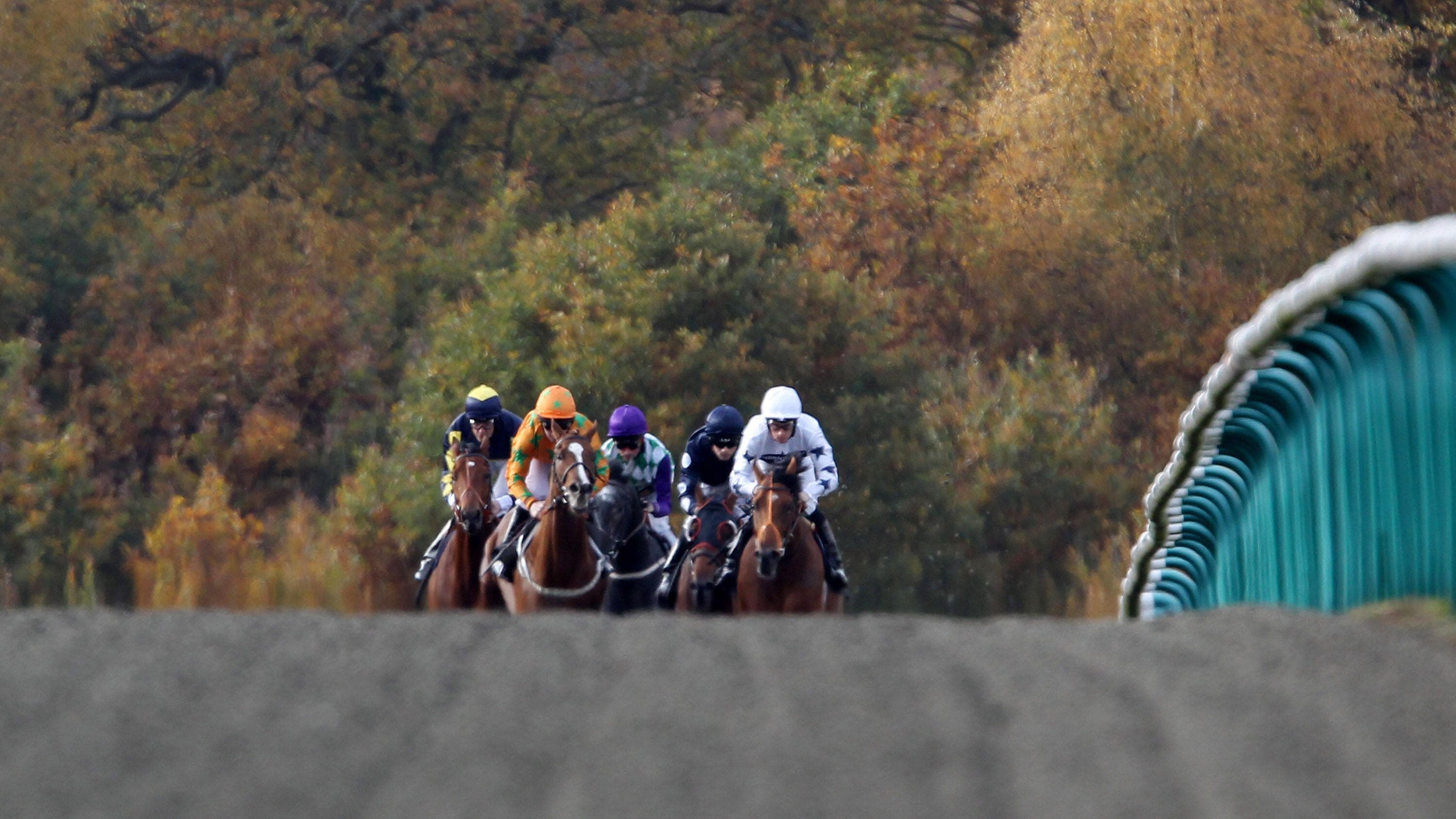 Lingfield Horse Racing Tips - 12th August 2025 image