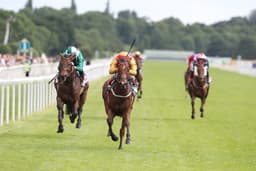 York Saturday Preview image