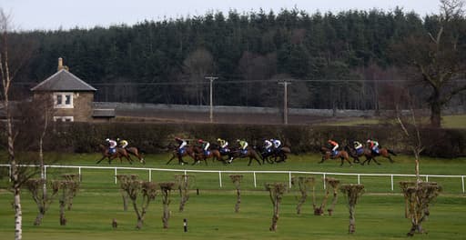 Trainer Sends Just One Horse On 678 Mile Round Trip To Kelso image