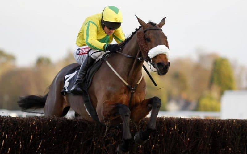 What Does SP Mean In Horse Racing?