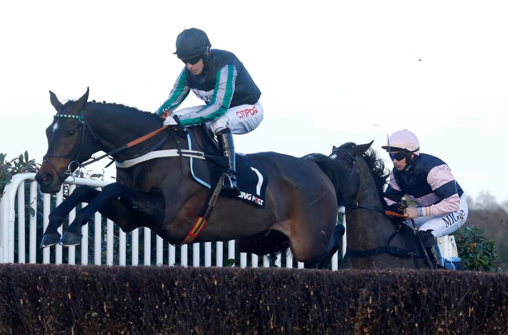 Altior jumps a fence