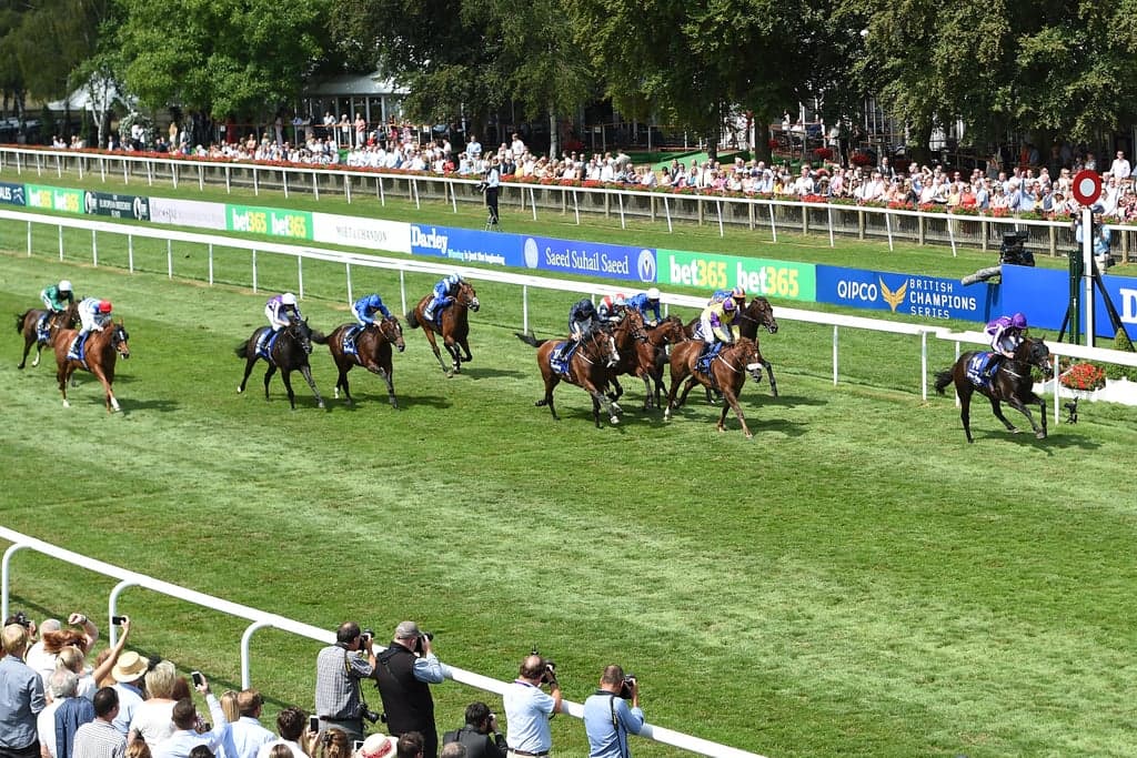 newmarket