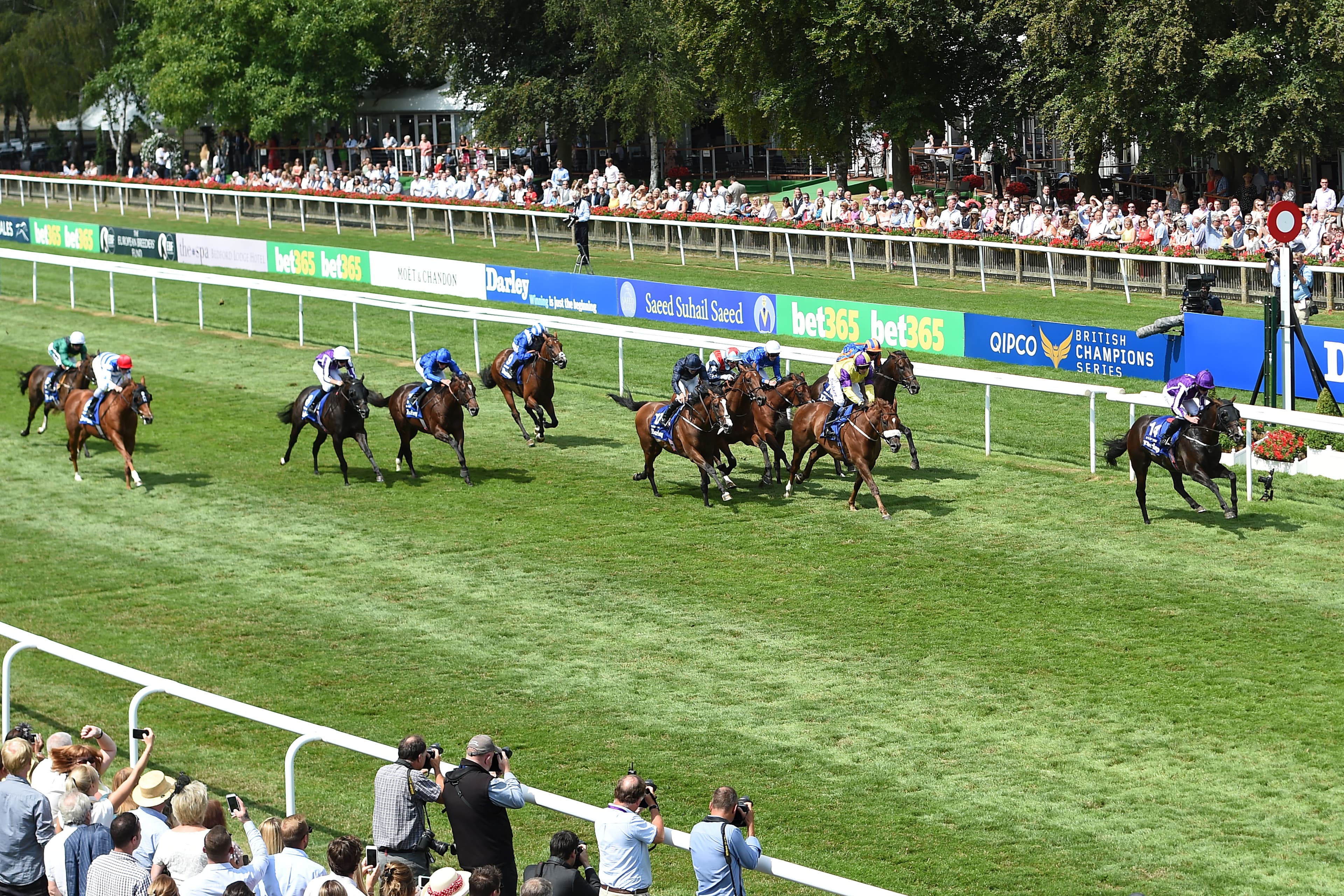 Newmarket Craven Meeting Day One Tips and Bets image