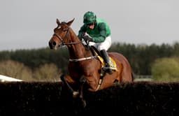 Footpad image