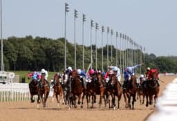 Newcastle Friday Preview image