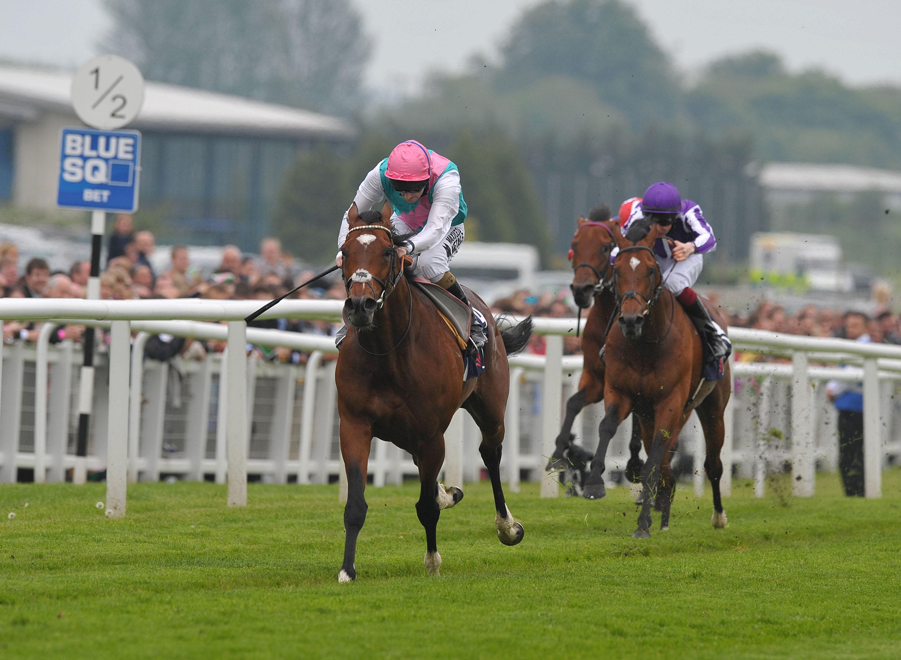 ITV Racing Tips for Today - Saturday 16th May 2026 