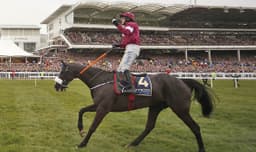 Don Cossack image