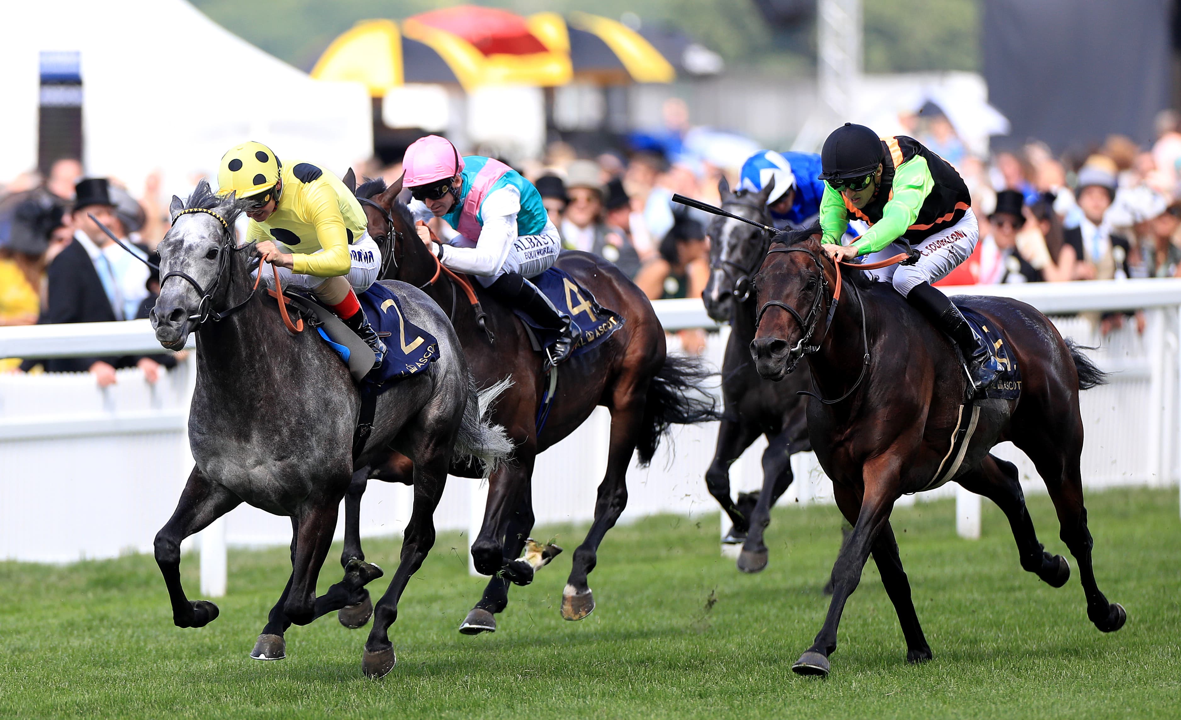 Royal Ascot Gamble Sees Horse Go From 66/1 Into 9/1