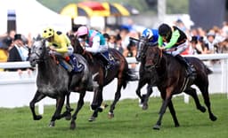 Royal Ascot Gamble Sees Horse Go From 66/1 Into 9/1 image