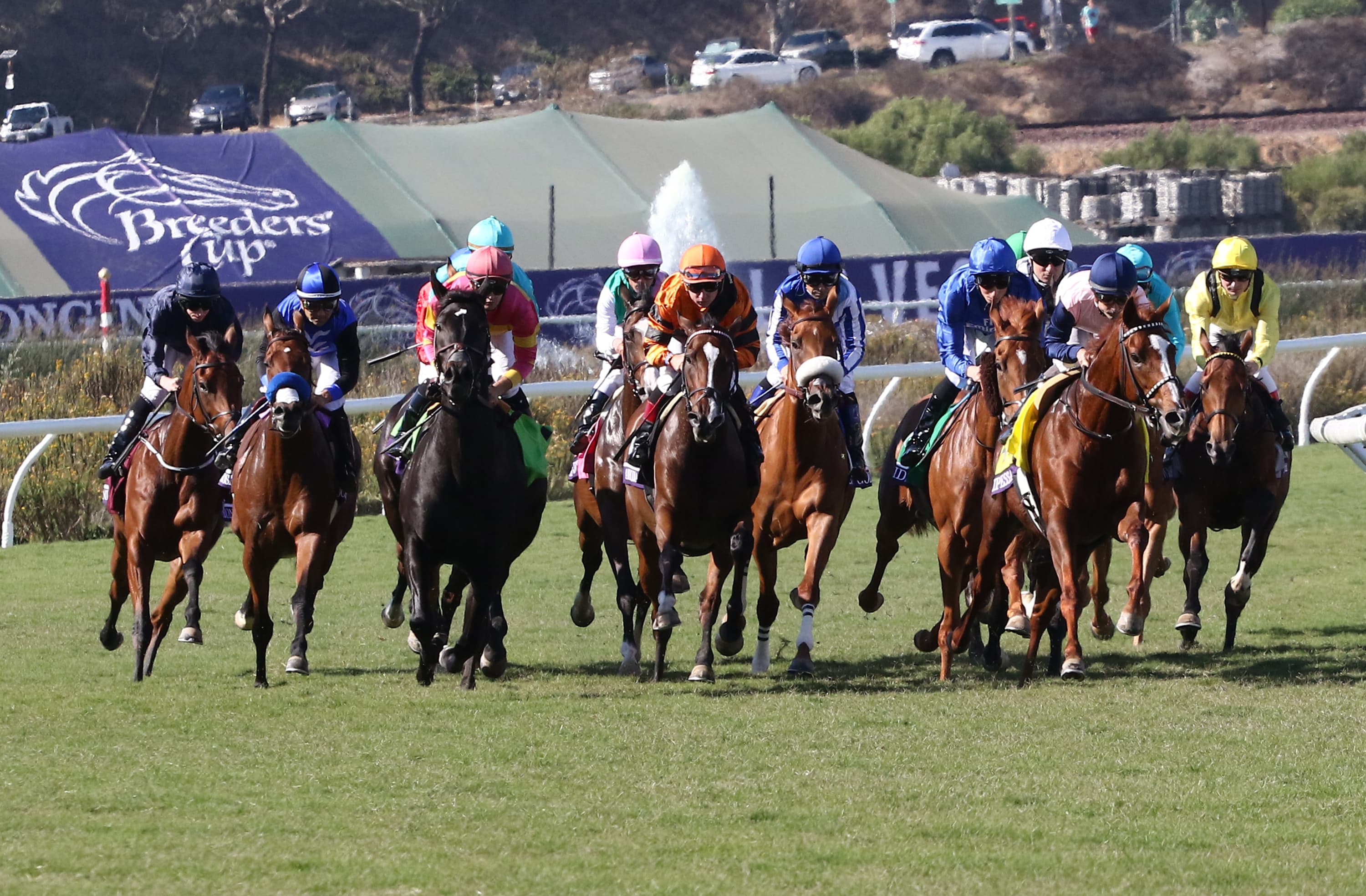 Paddy Power: Bet £5 Get £30 in Free Bets for ITV Racing | Tips for Saturday Evening 31st October