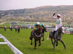 Ryanair Chase Guide image