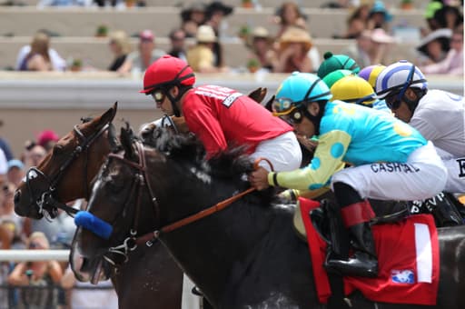 Breeder's Cup Preview Day Two Tips  image