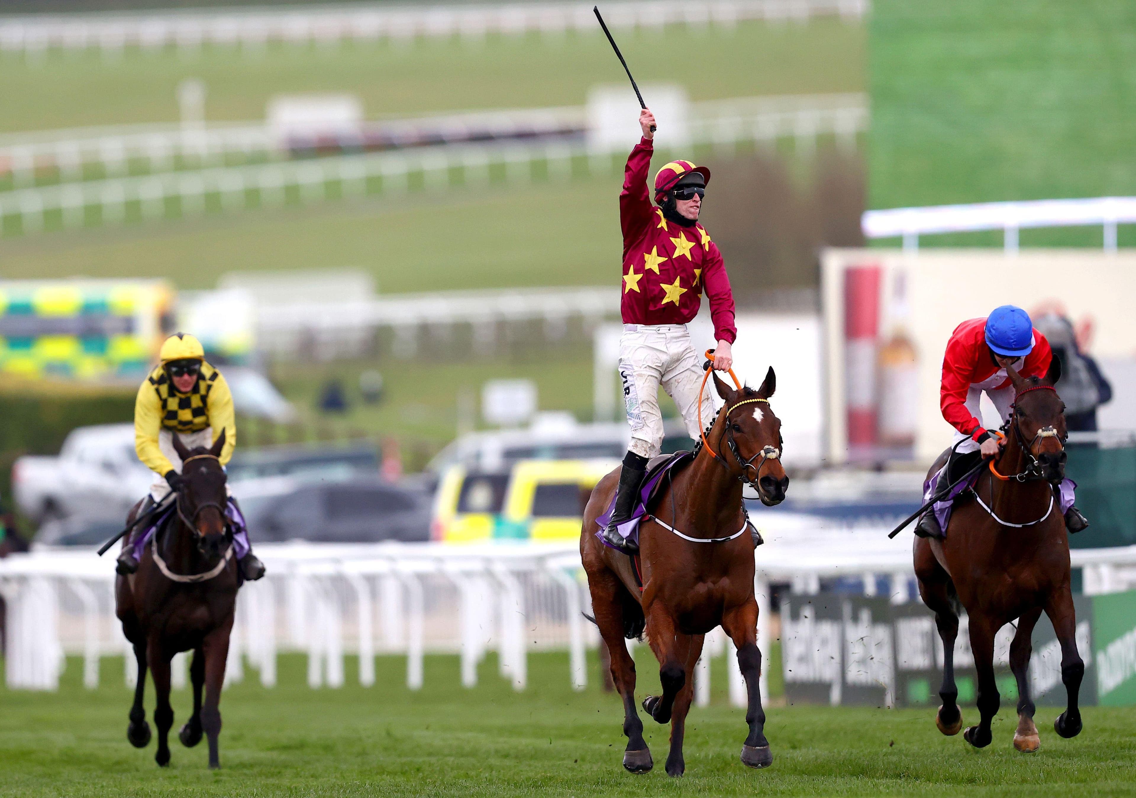 Cheltenham Festival Lucky Pattern Stats image