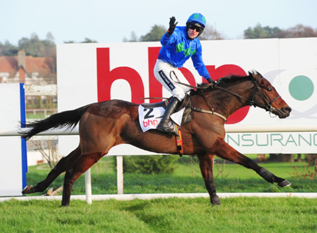 Hurricane Fly